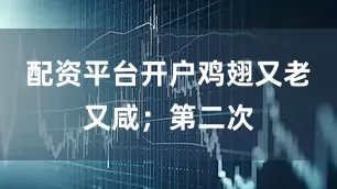 配资平台开户鸡翅又老又咸；第二次