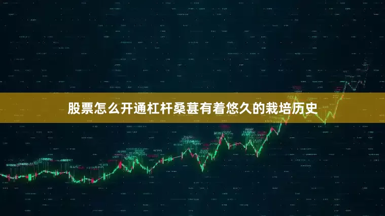 股票怎么开通杠杆桑葚有着悠久的栽培历史