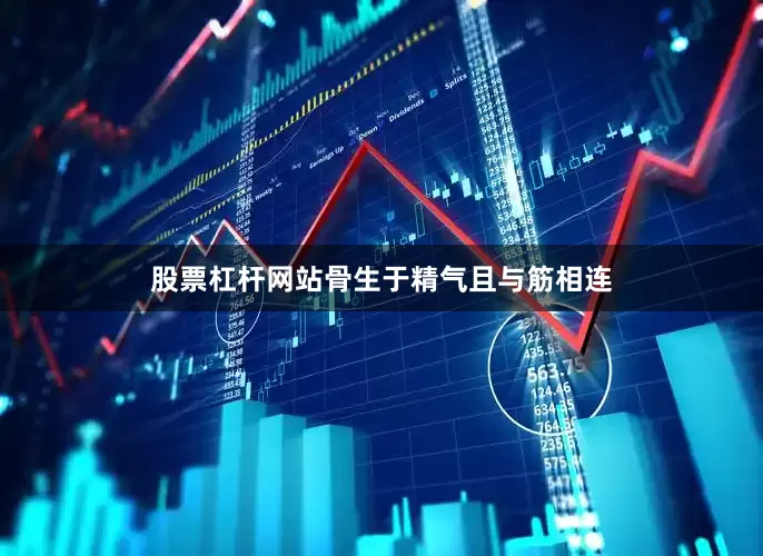 股票杠杆网站骨生于精气且与筋相连